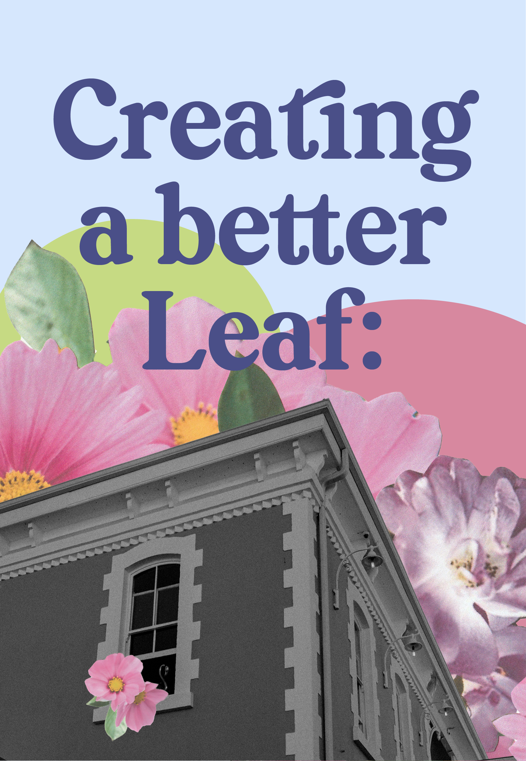 Image of a blue butterfly